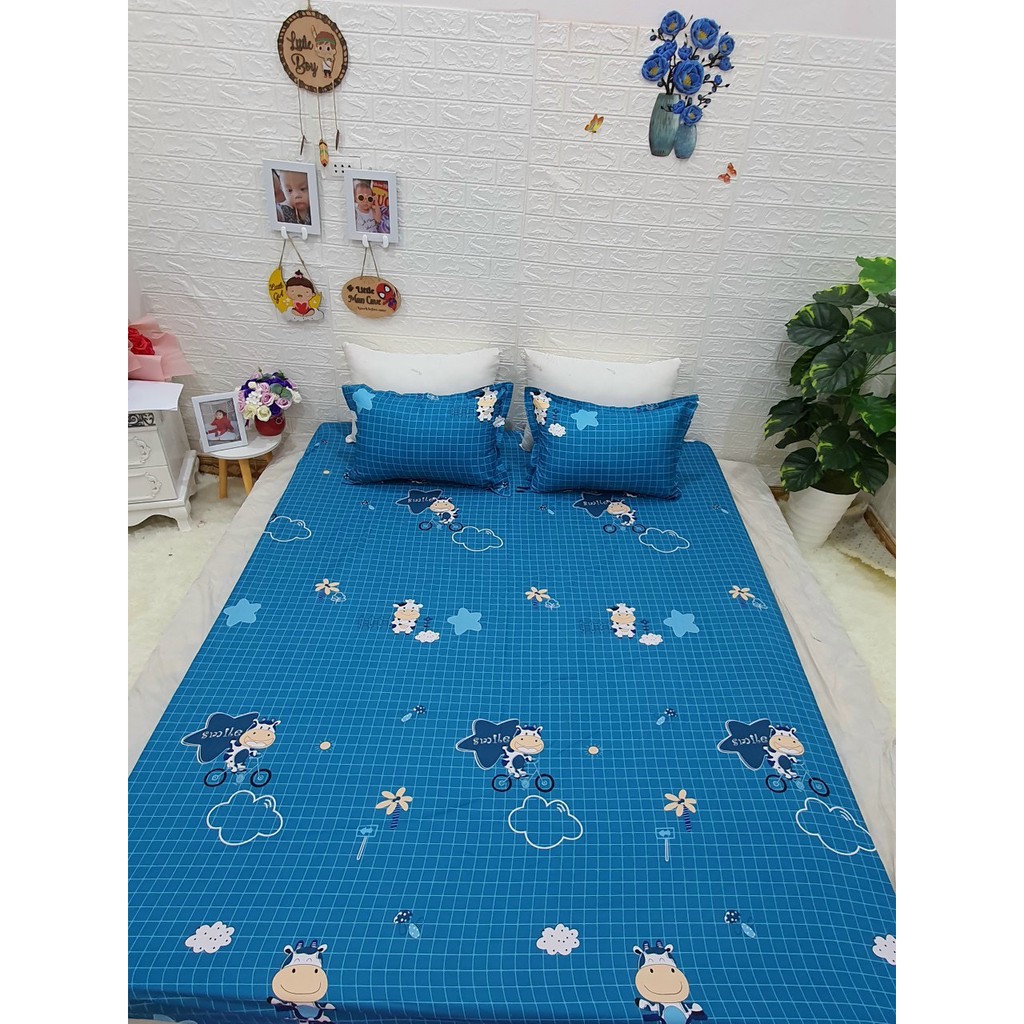 Bộ ga gối 3 món 1m5x2m chọn mẫu trên bài đăng-bò đạp xe