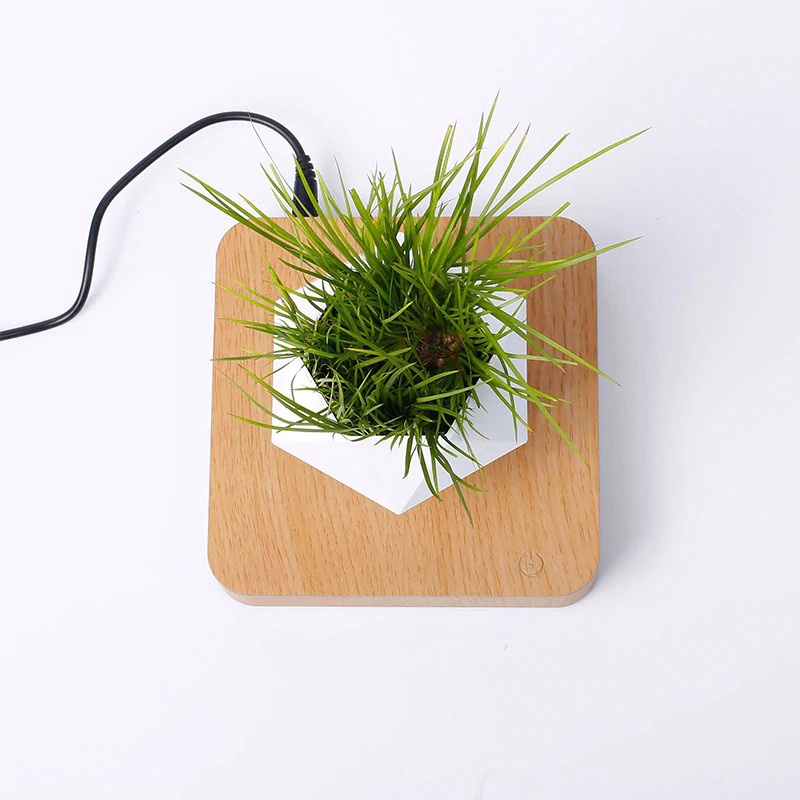 Libishop - Chậu cây bay trang trí từ tính BonSai Bay Zero W Design