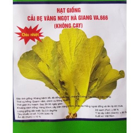 Cải bẹ vàng ngọt Hà giang chịu nhiệt 20g (không cay)