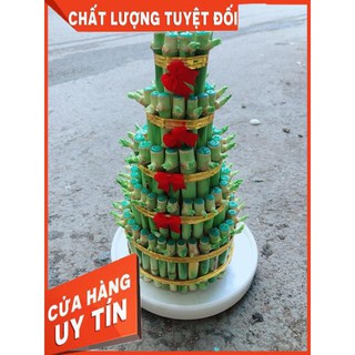 Cây Trúc Phát Tài Kèm Dĩa