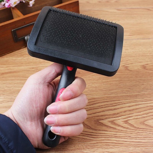 Lược kim chải lông rối cho cún🐶