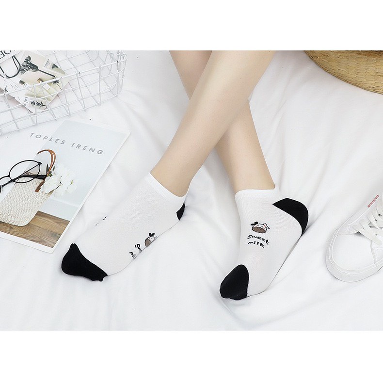 Tất bò sữa Pohanu cổ ngắn nữ phong cách hàn quốc dày giá rẻ cao cấp TN127