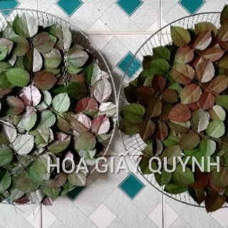 Sơn phun màu/nhũ - ATM/FOX