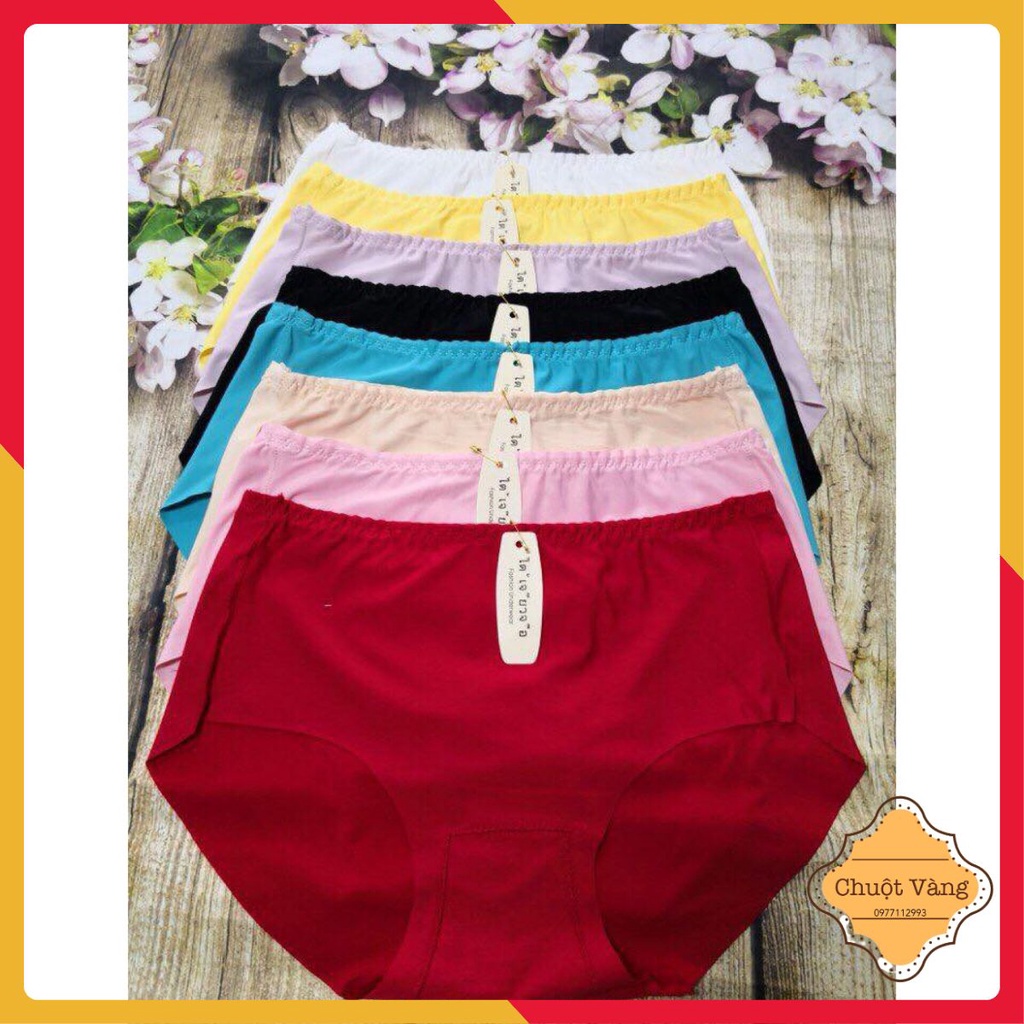 Quần lót không viền điều hòa xuất Nhật