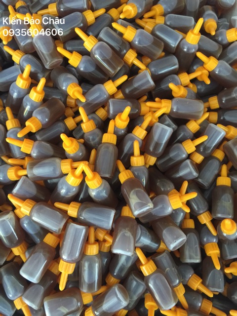 ( không nhãn ) combo 1000 lọ không nhãn thuốc diệt kiến gián sinh học Bảo Châu