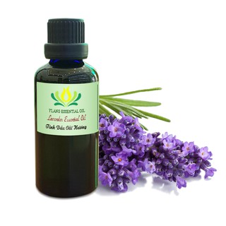 Tinh dầu Oải hương (Lavender) - 50ml