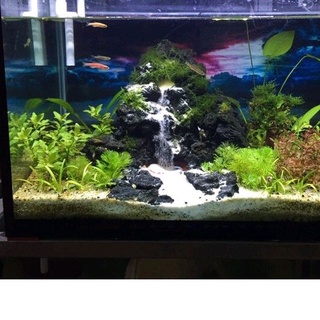 Thác Cát chất liệu đá đen Gia Lai Size cao 28cm đến 30cm Cho Bể Cá ( Tặng Cát)