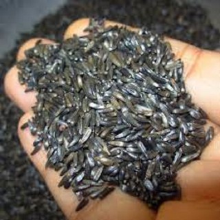 Hạt Niger Viettin Mart 500G