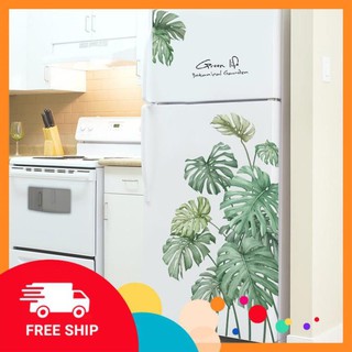 ⚡️𝗙𝗥𝗘𝗘𝗦𝗛𝗜𝗣⚡️ Decal dán tường Lá bách thảo