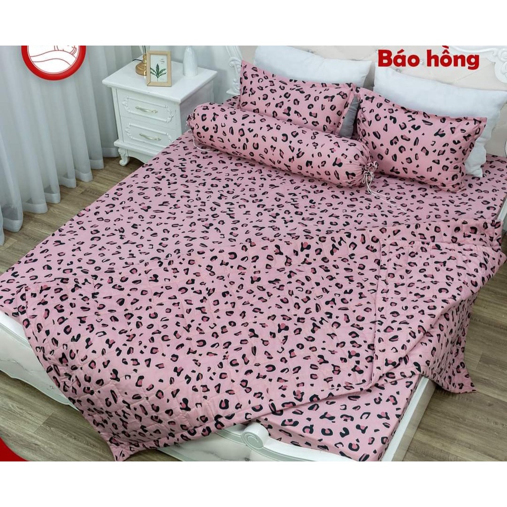 Chăn hè thu trần bông poly cotton,nhiều mẫu lựa chọn