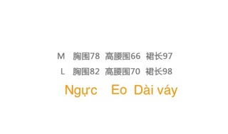 Váy ren trắng Order Quảng châu SL5