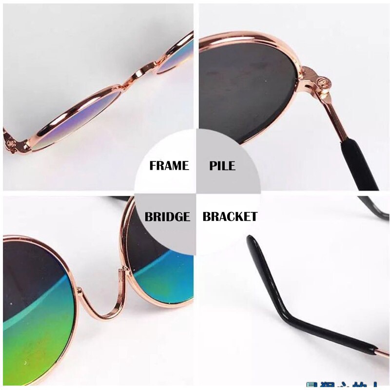 Kính mát chụp ảnh đáng yêu cho thú cưng