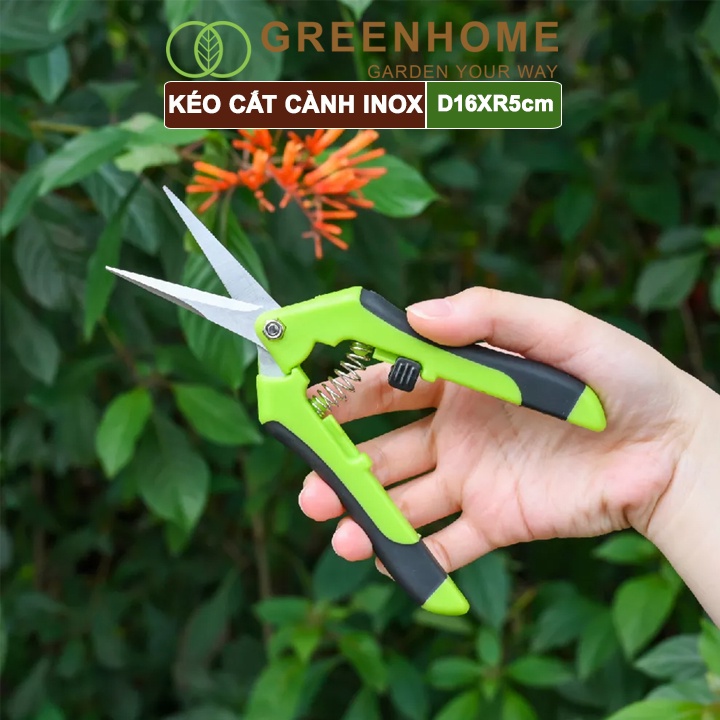 Kéo cắt cành, D15,5xR4,5cm, inox, mũi nhọn, màu xanh, siêu bén, không gỉ, có khoá an toàn |Greenhome