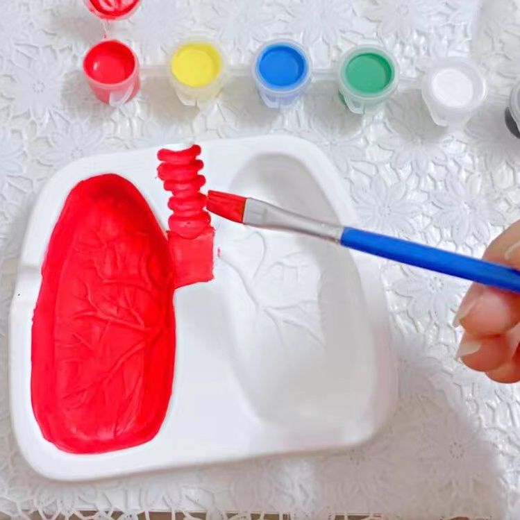 Gạt Tàn Thuốc Hình phổi Sáng Tạo Dùng Làm Quà Tặng Sinh Nhật Cho Bạn Trai diy