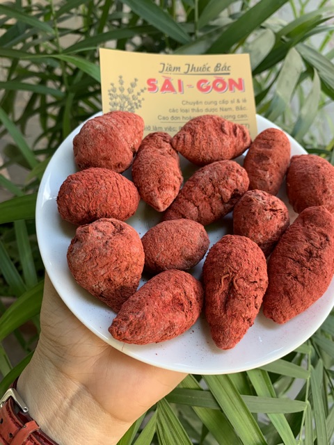 [Mã 156FMCGSALE hoàn 8% đơn 500K] CỦ NGHỆ ĐỎ_500GRAM [ORGANIC] | BigBuy360 - bigbuy360.vn