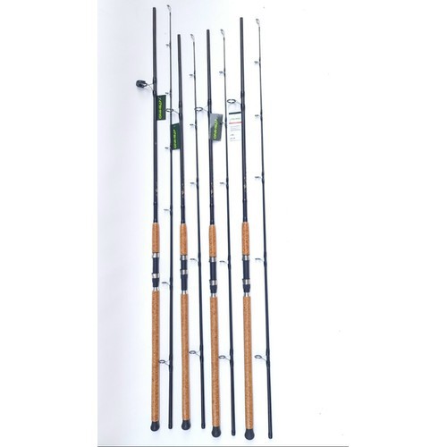 Cần bạo lực Ashino Excellent 2m7 và 3 m