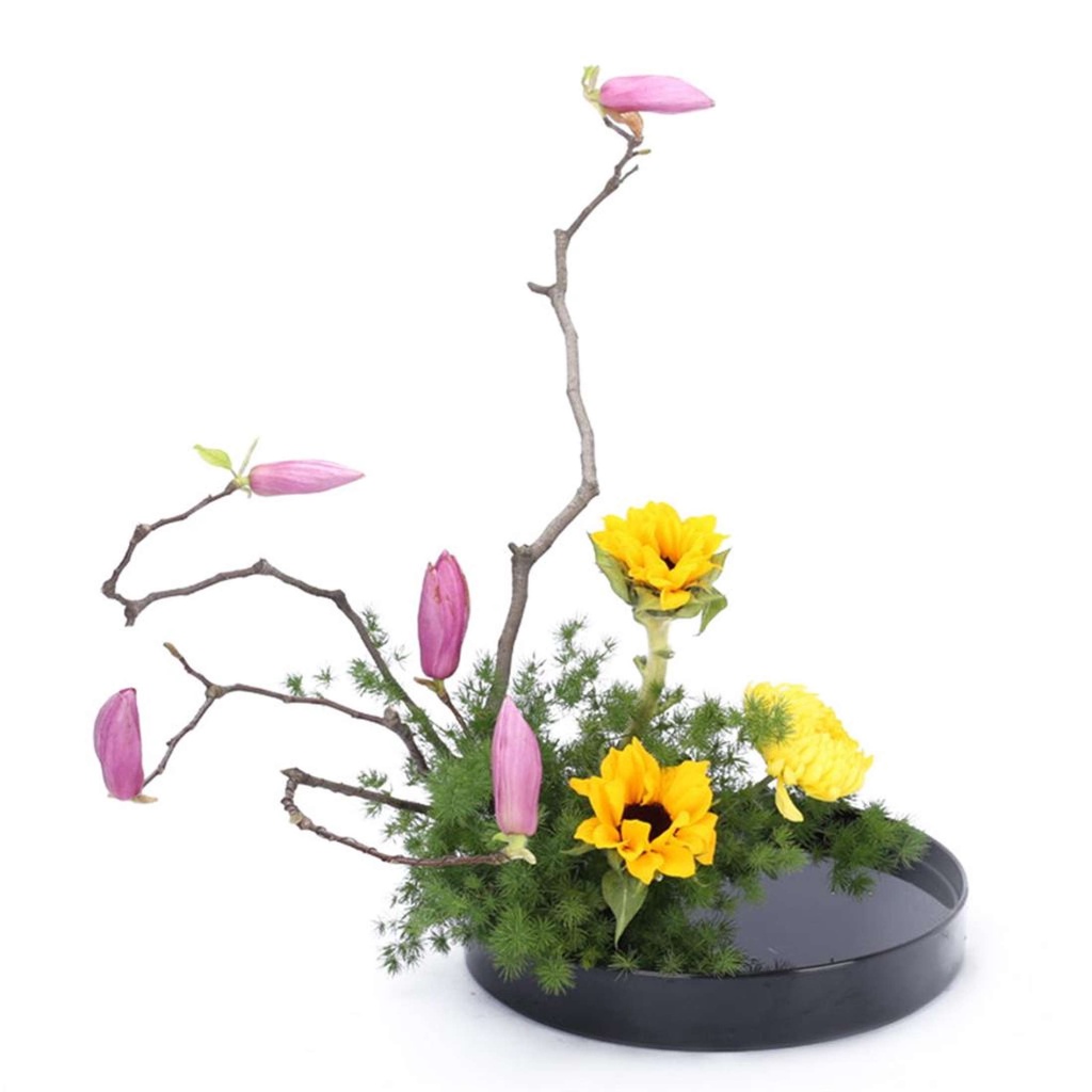 Predolo Bình Hoa Nhật Bản Ikebana Suiban Hộp Đựng Cây Cảnh Để Cắm Hoa Nhiều Màu Sắc & Kích Cỡ-198-123LifeVN