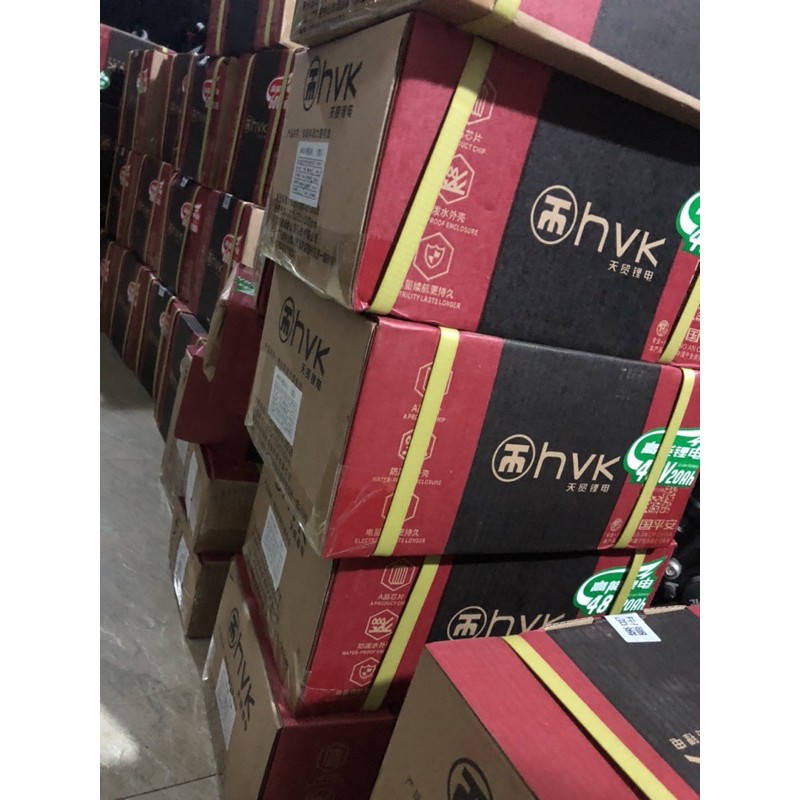 💢BH 2 năm💢 Pin lithium 48vol-14A