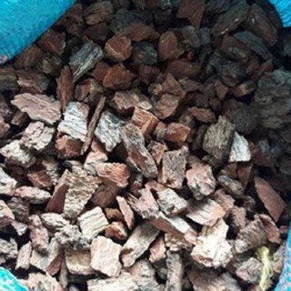COMBO 5kg Vỏ thông đỏ trồng lan