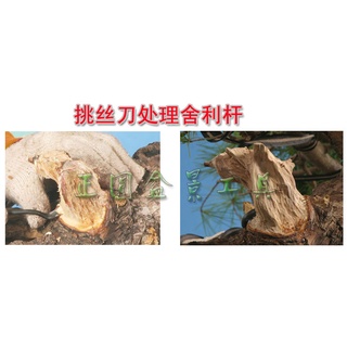 Bộ móc lũa Ryuga 6