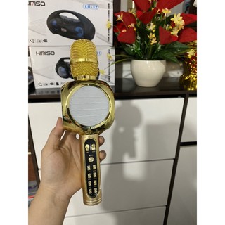 Mic Kèm loa Ys-90