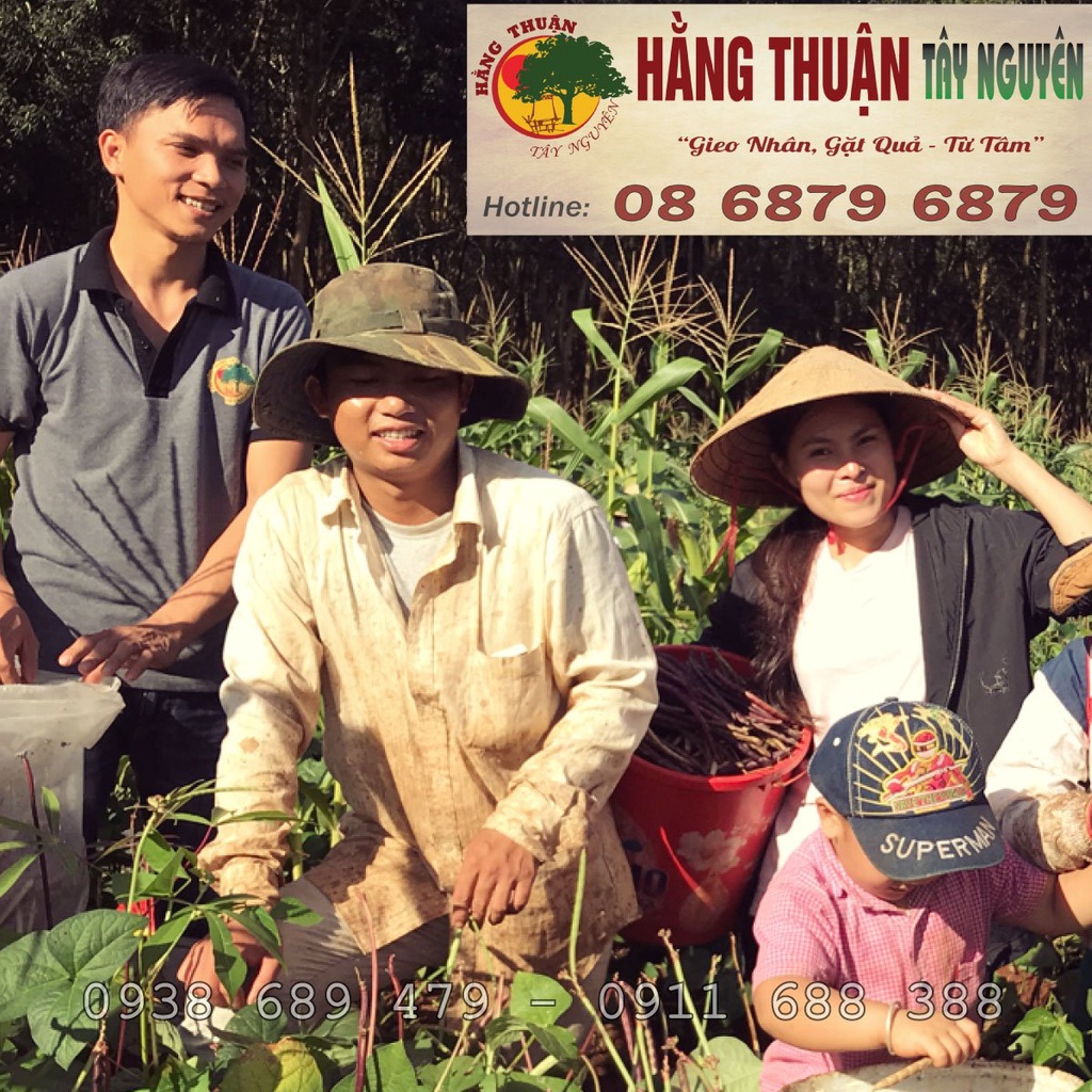 Bột Ngũ Cốc Dinh Dưỡng Tăng Cân Hằng Thuận Tây Nguyên