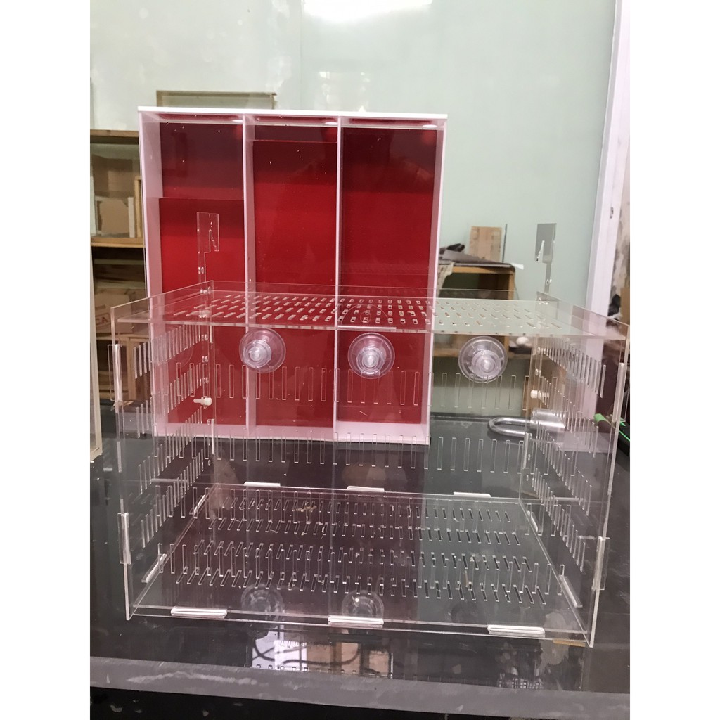 Bể Acrylic. Hít chân không treo lồng dưỡng cá, tép, san ho