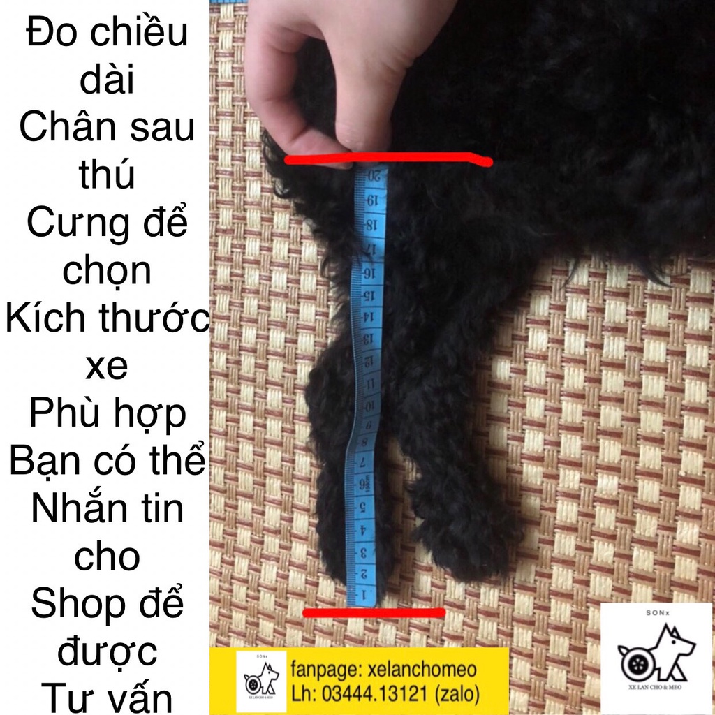 Xe lăn chó mèo liệt có đệm ngồi, có thể điều chỉnh được chiều cao xe bảo hành sản phẩm
