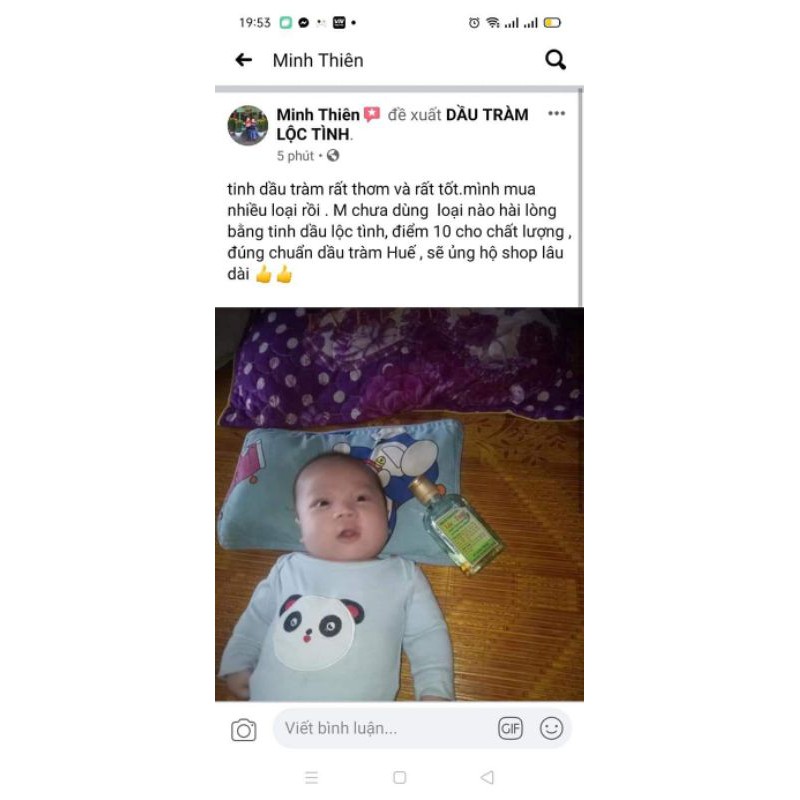 Tinh Dầu tràm nguyên chất Lộc Tình 100ml