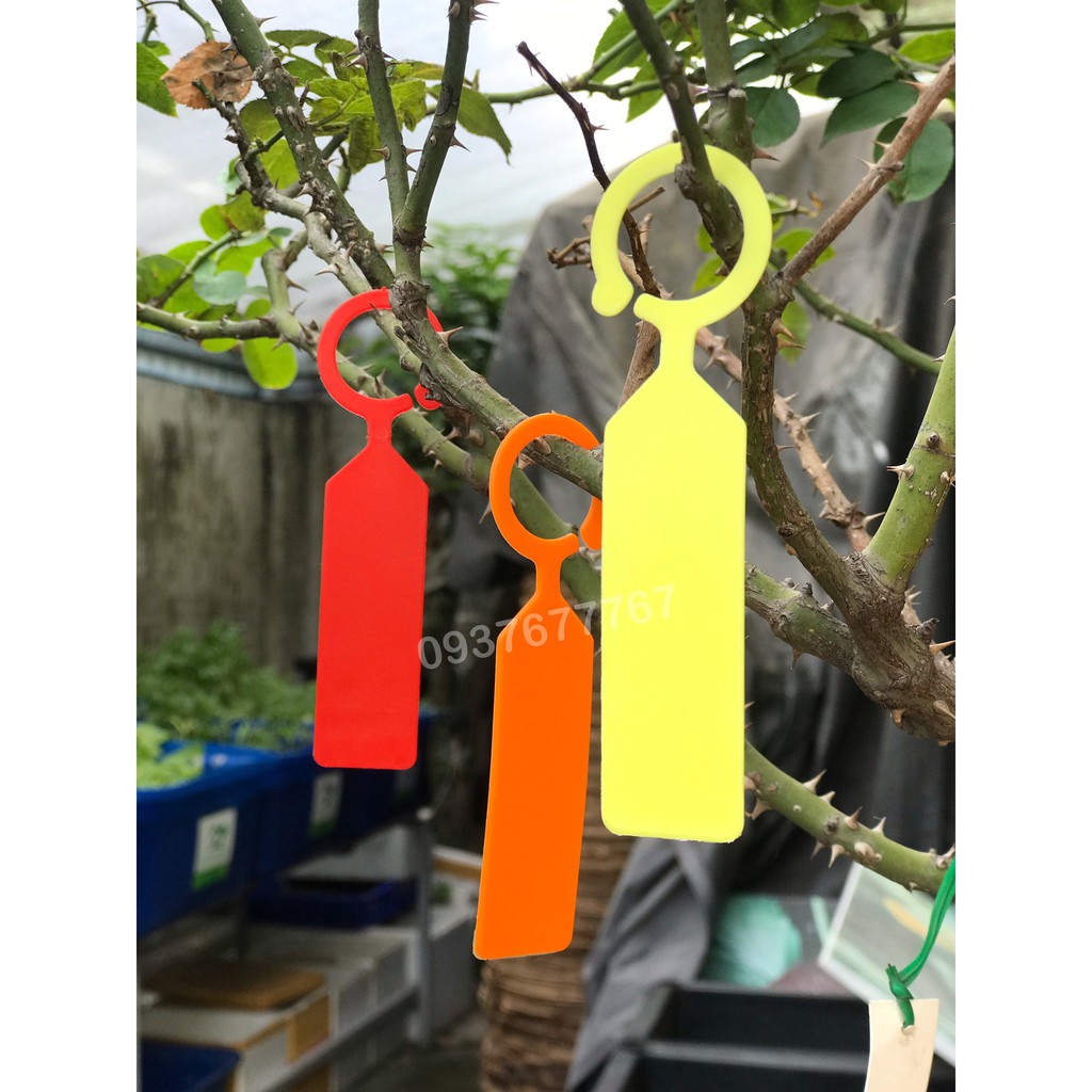 Sét 100 thẻ móc vòng treo cành ghi tên giống cây trồng 2.4x11cm