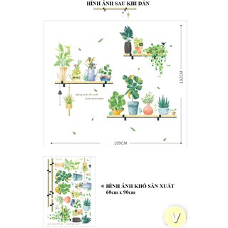 Decal dán tường 3 hàng chậu cây cảnh