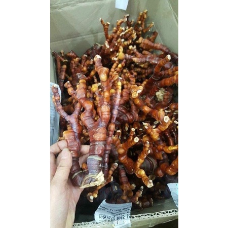 [ HÀNG MỚI VỀ ] Nấm Linh Chi Sừng Hươu Hàn Quốc, Hộp 500gr