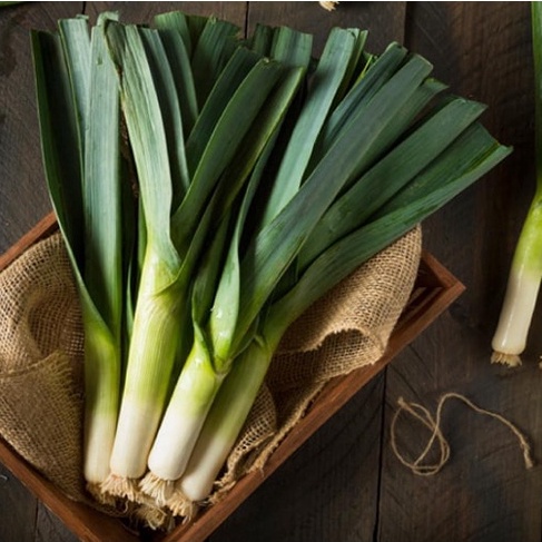 Hạt Giống Hành Baro/ Tỏi Tây Năng Suất Thơm Ngon 1gr