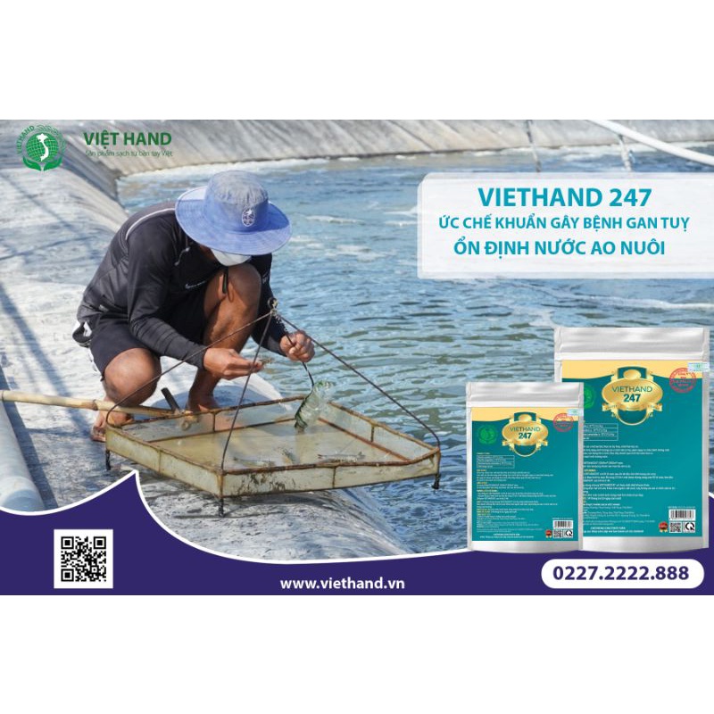 Men vi sinh Việt Hand Bổ Gan Tụy Cho Tôm Cá Ốc VIETHAND 247 gói 200gam/Ức chế khuẩn gan tụy/ Bắt lợn cợn/Siêu trong.