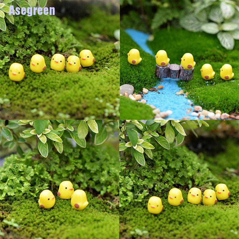 Set 5 chú gà con mini màu vàng dễ thương xinh xắn