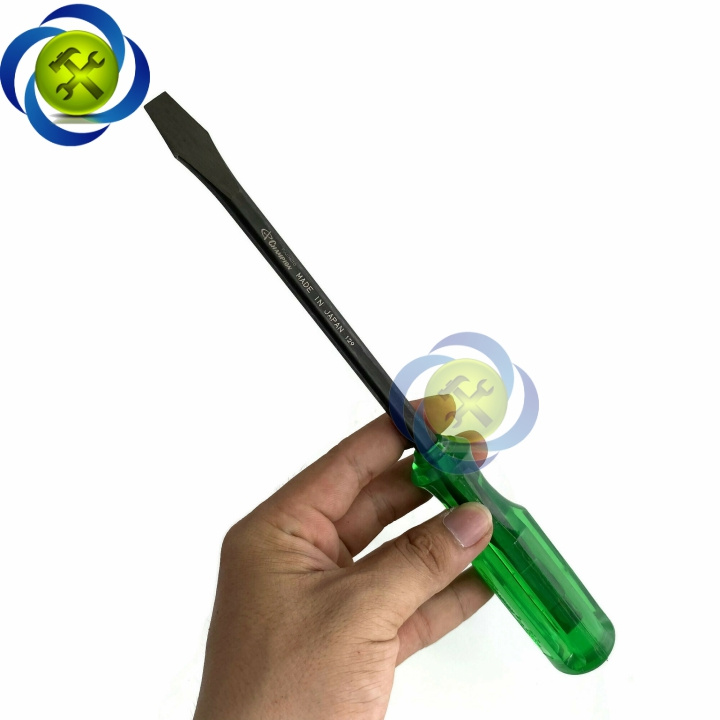 Vít dẹp Nhật Bản NO120F-6100 kích thước 6 x 100mm (Japan)