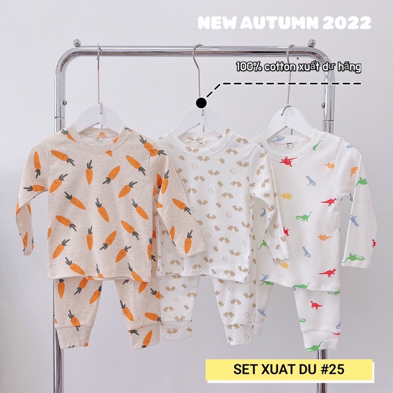[Cotton xuất dư] Combo 3 bộ chất dày dặn cho bé trai