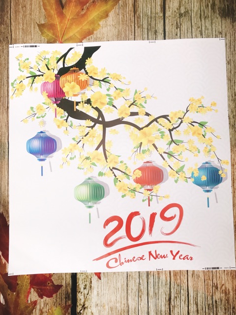 Decal Trang Trí Tết - Cành Mai Vàng Lồng Đèn Sắc Màu 2019 ( ẢNH + VIDEO THẬT )