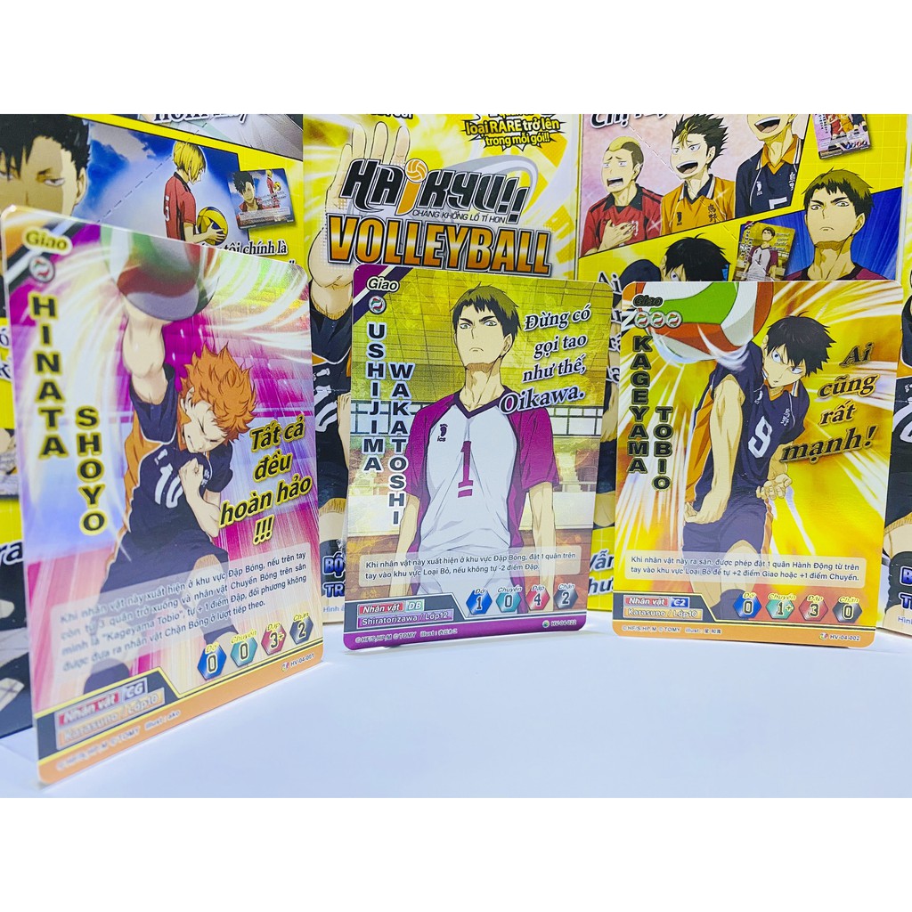 Bộ cờ bóng chuyền Haikyu - Combo - HVD-03 + 5 HV-04