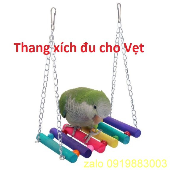 Thang đu xích đu cho vẹt - đồ chơi cho vẹt