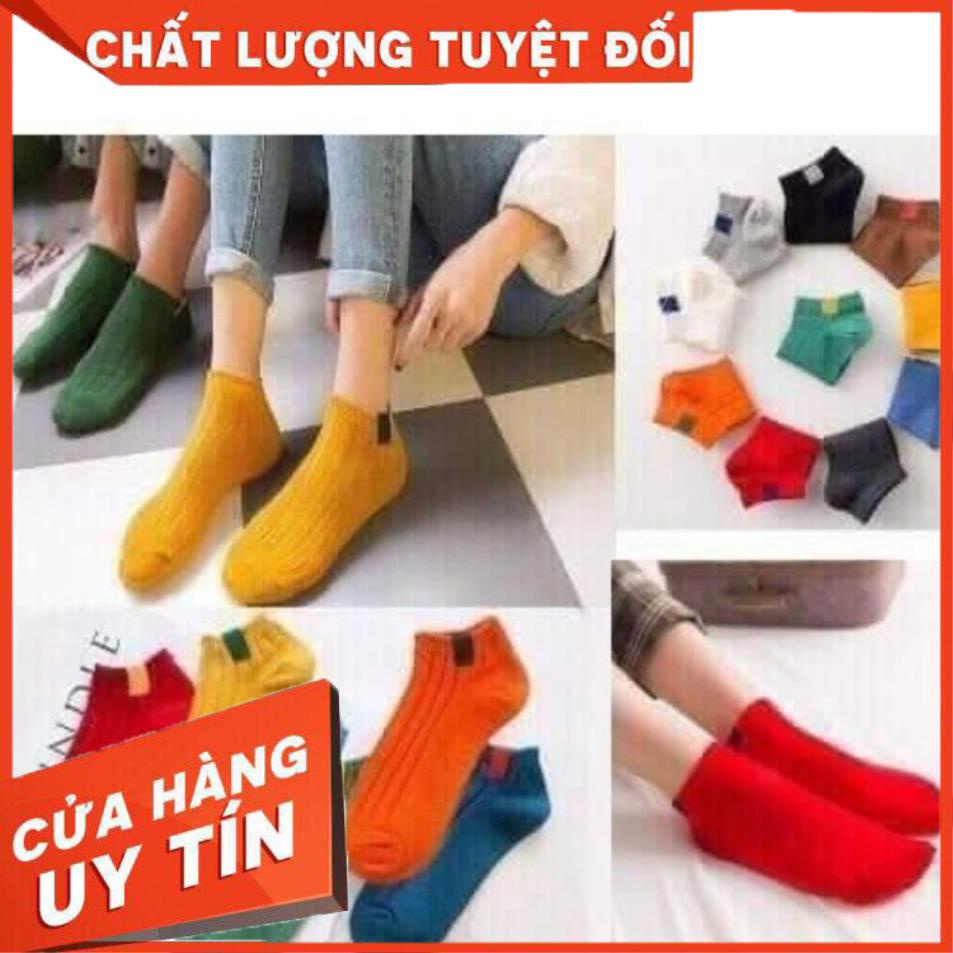 [NEW] Sét 10 Đôi Tất Gân Nữ 7 Màu Cổ Ngắn, Đi Thoáng Chân Mềm Êm - Haidangmart