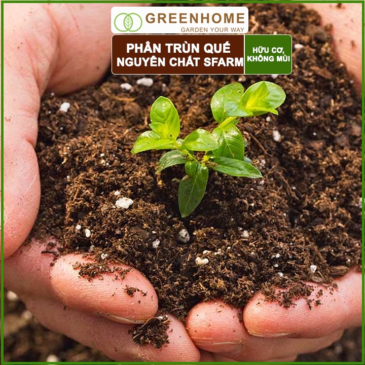 Bộ 2 Phân trùn quế Sfarm, bao 2kg, nguyên chất bổ sung dinh dưỡng cho cây, hoa, cải tạo đất |Greenhome
