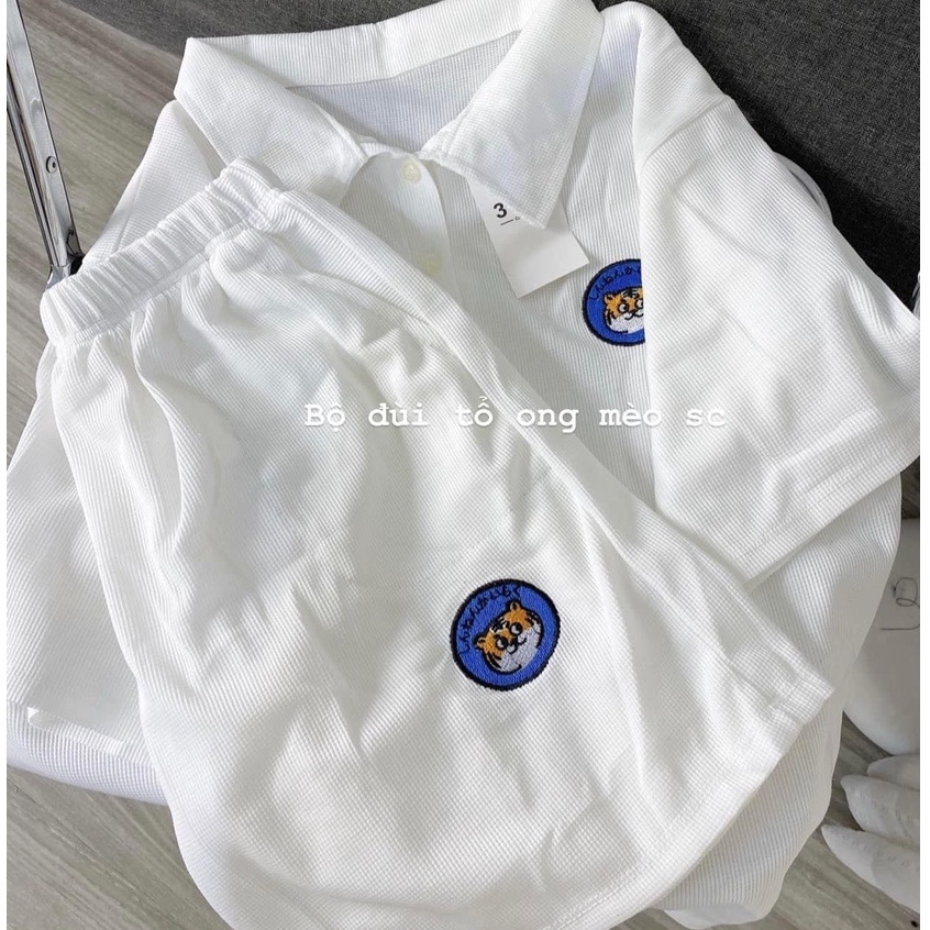 Set đồ nam nữ form rộng unisex, áo polo cúc cài thêu logo mèo kèm quần short đùi chất liệu cotton tổ ong