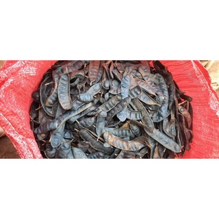 Quả bồ kết khô