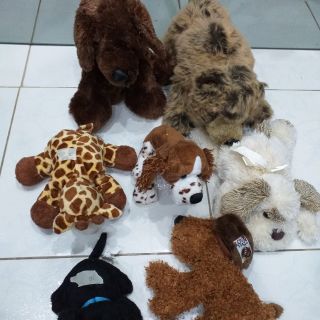 Gấu bông khánh nhi