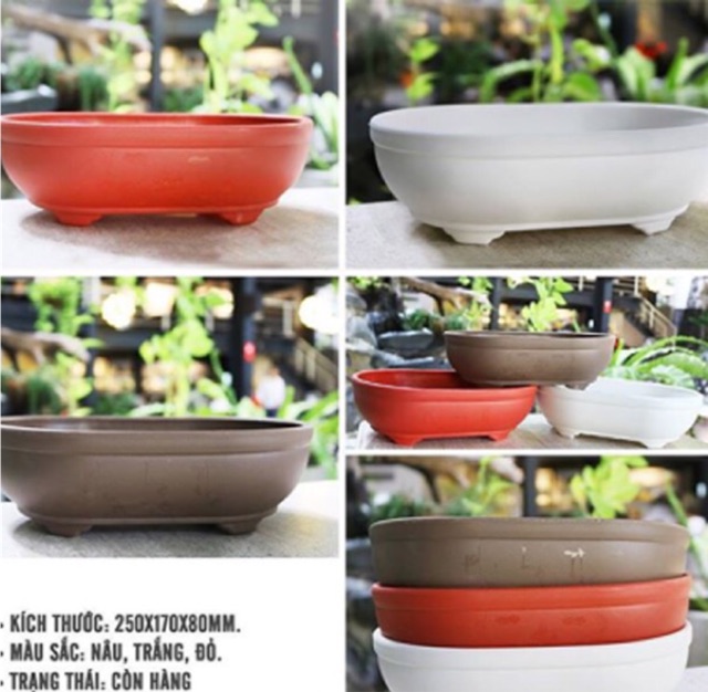 Chậu nhựa Hình Oval, chậu trồng cây, Chậu Tạo Dáng cây Bonsai, Chậu Tiểu Cảnh