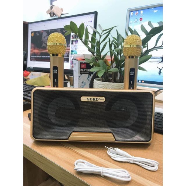 Loa hát karaoke SD 301.Tặng kèm 2mic không dây rất xinh.