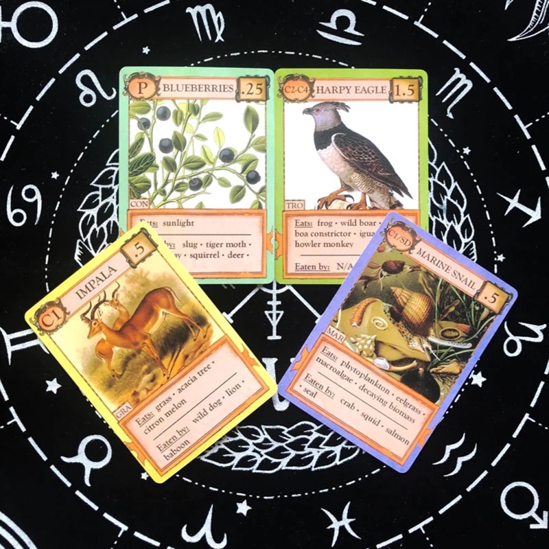 Bộ Bài Tarot Cổ Điển Độc Đáo