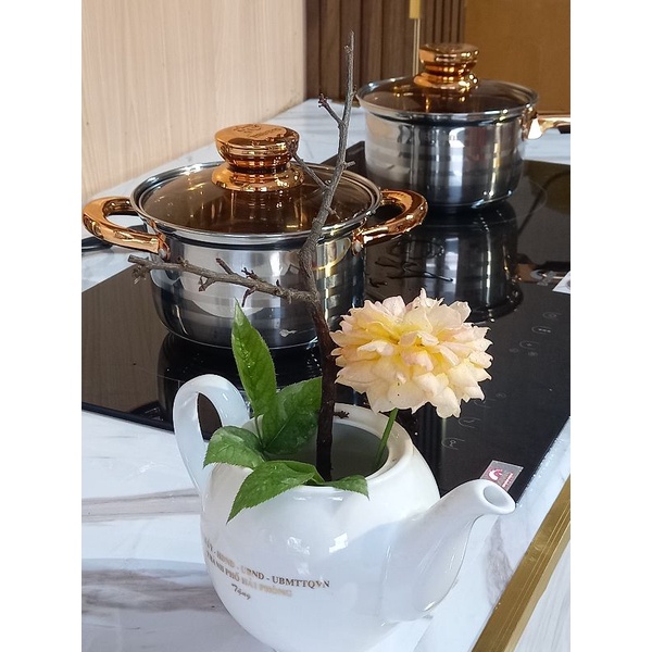 Bếp từ cao cấp