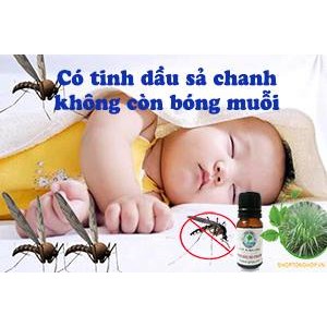 Combo 4 chai tinh dầu chống chuột Tâm An dành cho khoang máy ô tô